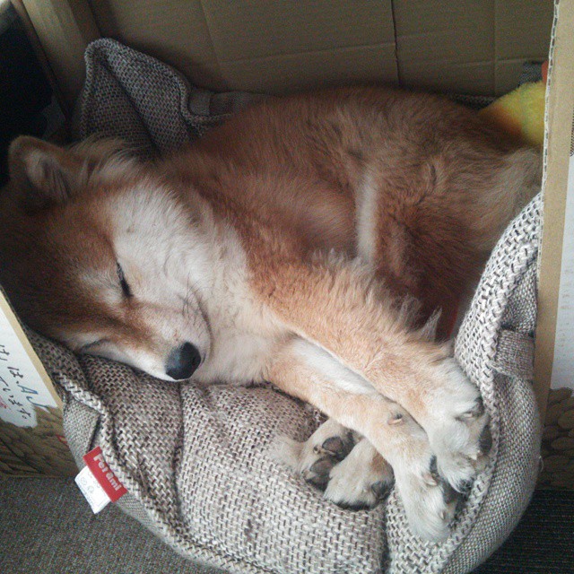 跨界英雄，伦纳德关键制胜助篮网轻取湖人