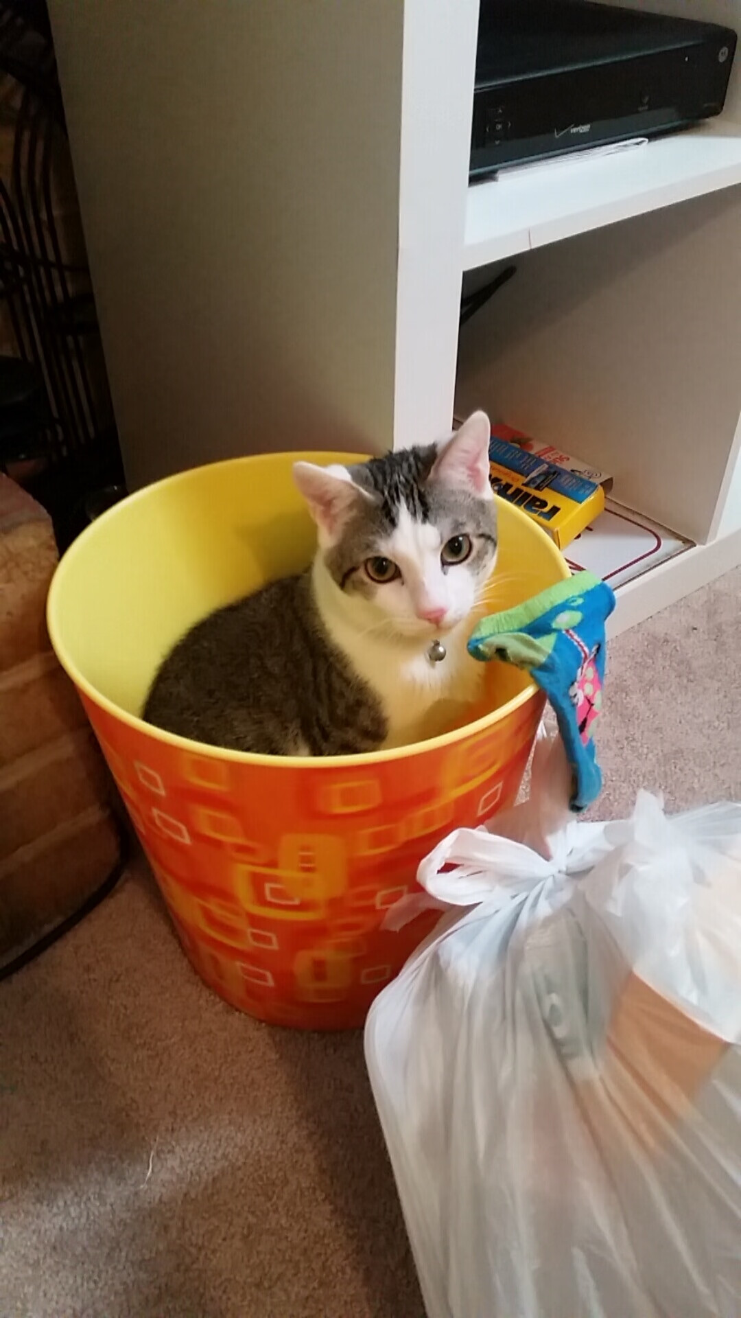 擎天白玉柱！戈贝尔23+18碾碎马刺内线，广厦用一波流终结悬念