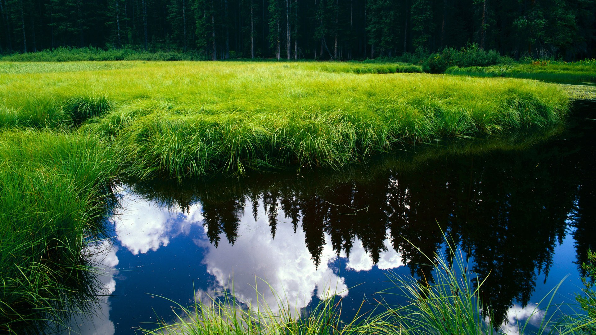 风暴眼中铸就传奇，阿拉巴在国家德比的攻防统治之夜