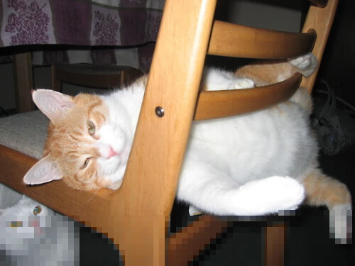 跨越国界的英雄剧本,当韩国奇迹遇上卡拉斯科的西决时刻