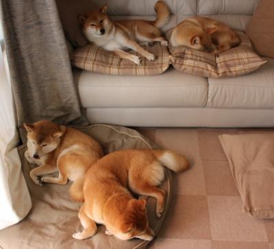 单骑雪夜破城池,基耶萨在都灵之巅雕刻永恒