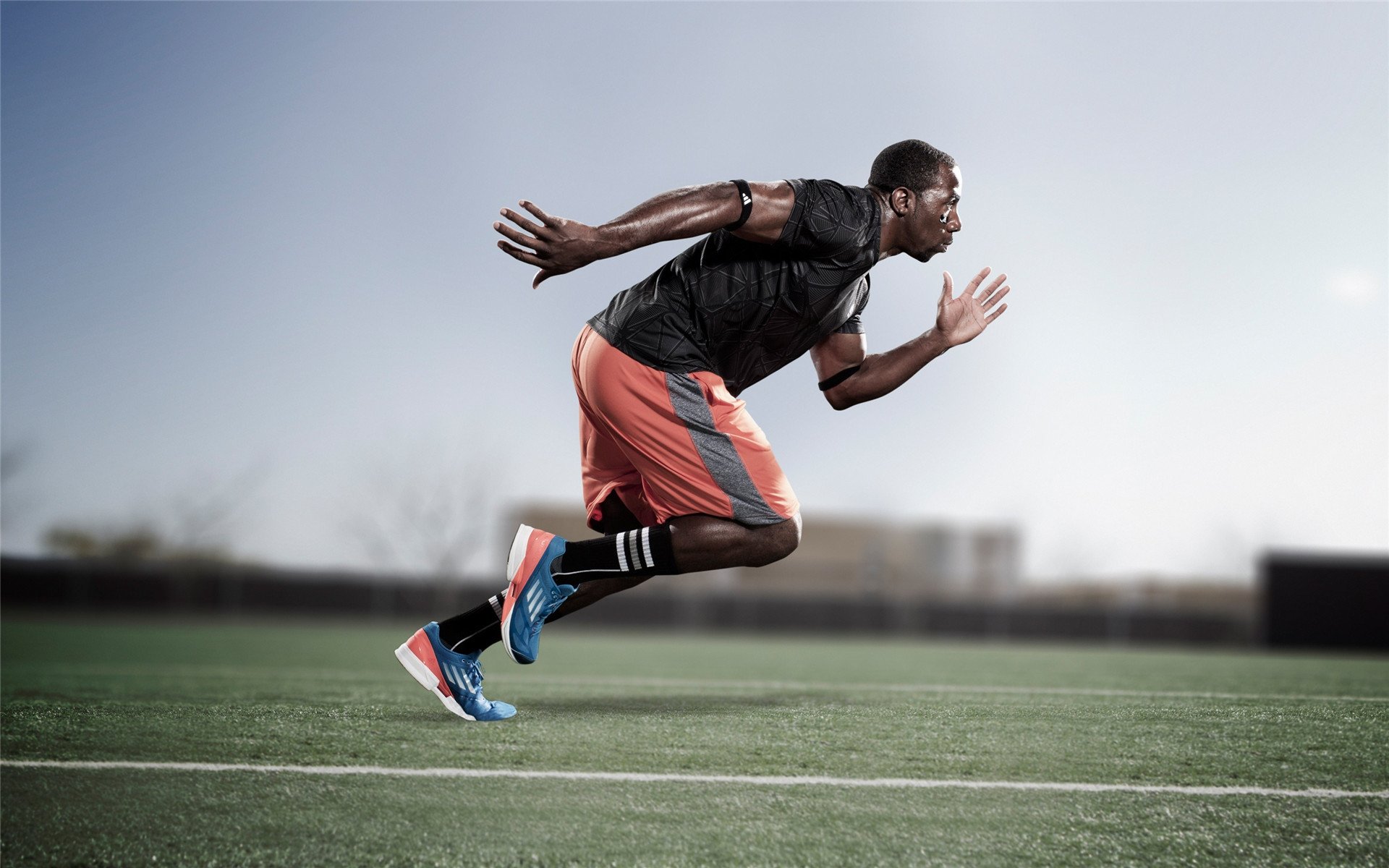 从阿诺埃塔到北美,罗德里格斯的双重征服