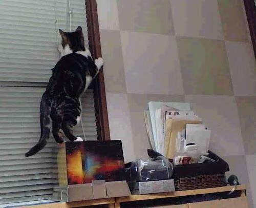 血与冰的交响,布伦森末节狂澜击碎雄鹿铁壁