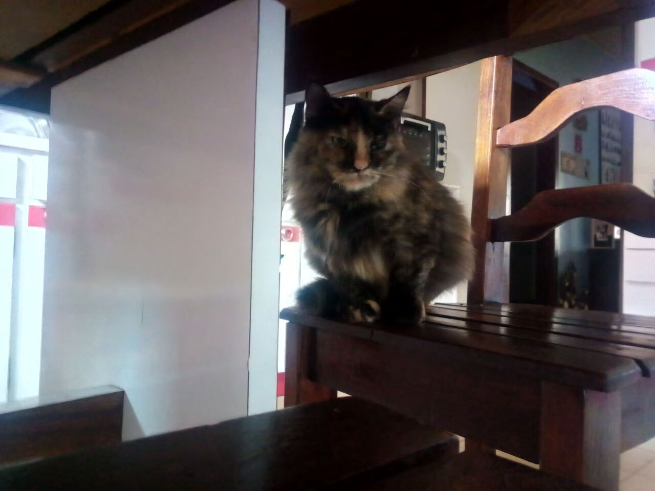 审判日的扳手,当尼克斯的钢铁洪流撞上詹姆斯的时间权杖