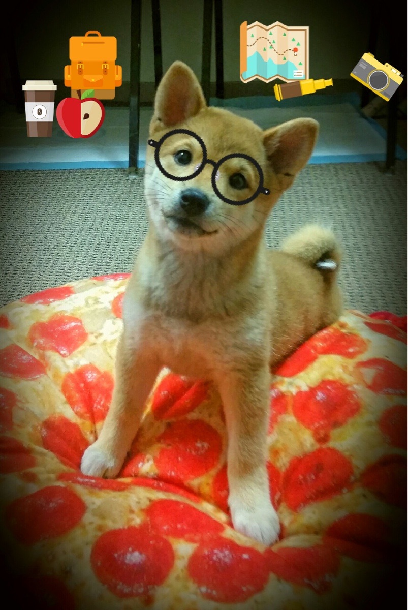 绿茵场上的归化史诗,恩佐一球定音,爱尔兰的唯一救赎