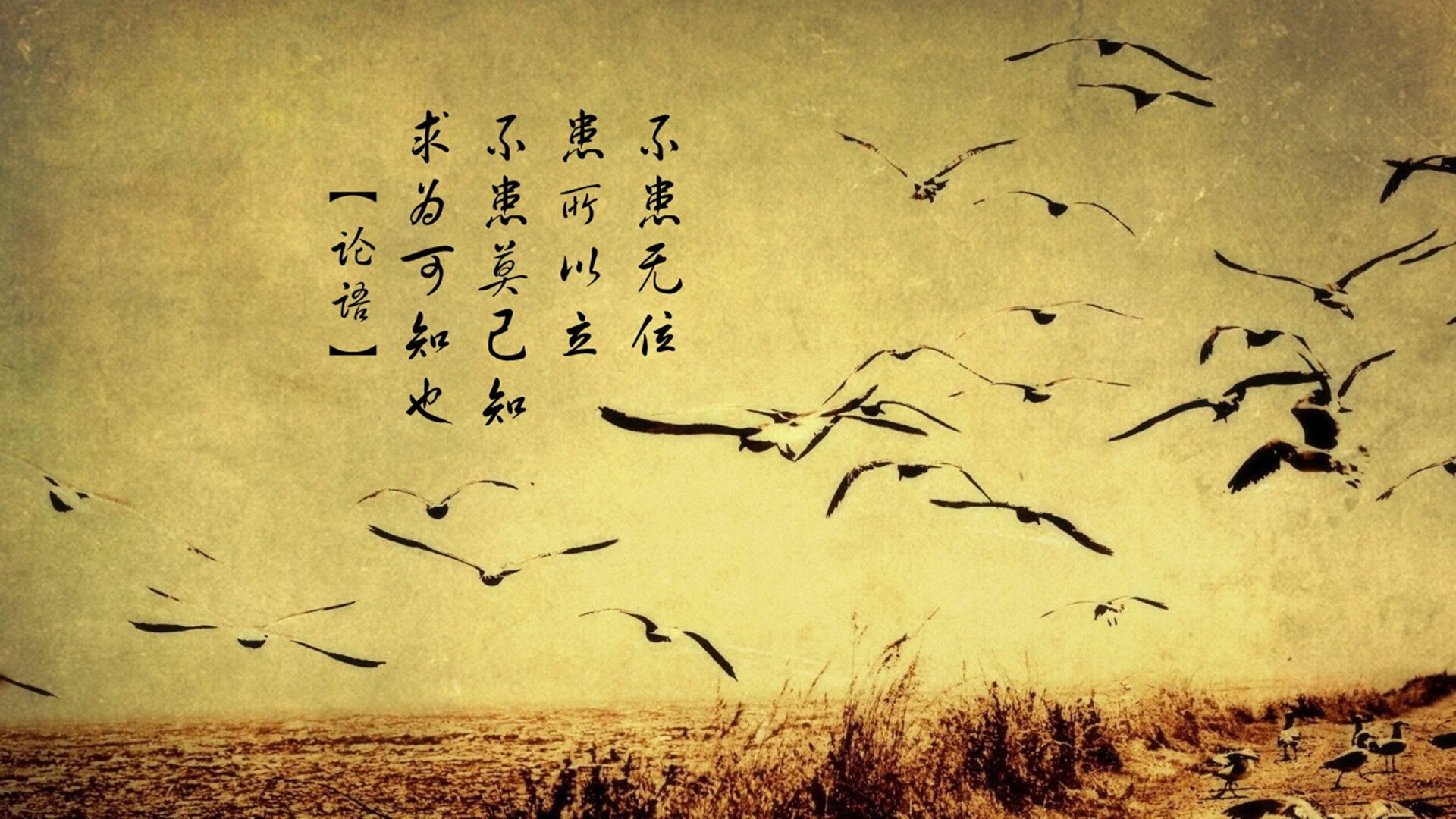 从沉默齿轮到致命武器，贝恩在迈阿密压力熔炉中的淬火之夜