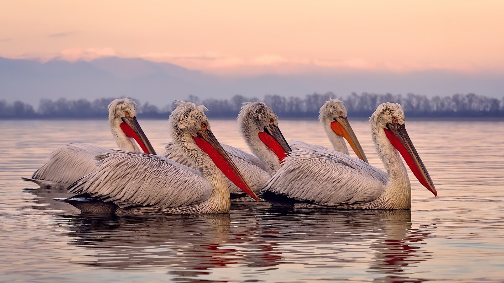 独一无一,奥运周期关键战之夜,奥纳纳完成里程碑