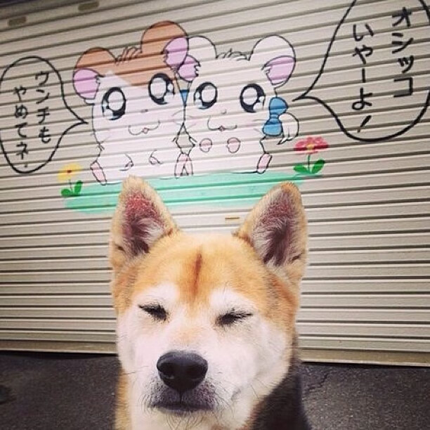 扩展（思维发散）